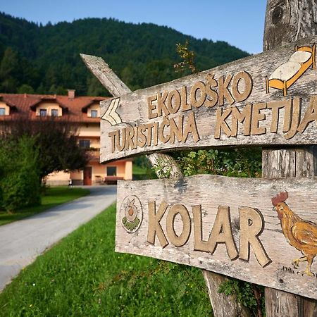 リュブノ Tourist Farm Kolarヴィラ エクステリア 写真