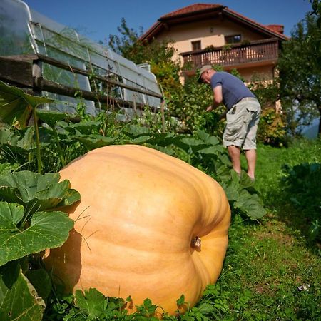 リュブノ Tourist Farm Kolarヴィラ エクステリア 写真
