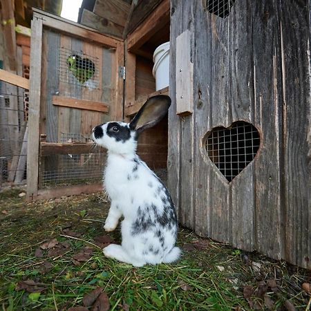 リュブノ Tourist Farm Kolarヴィラ エクステリア 写真