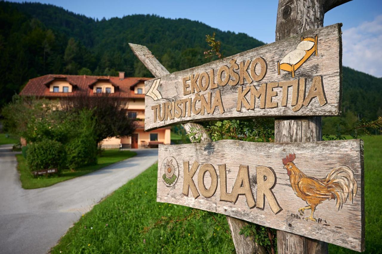 リュブノ Tourist Farm Kolarヴィラ エクステリア 写真