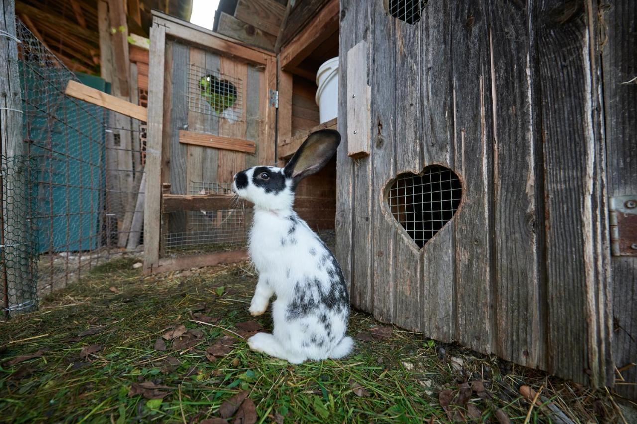 リュブノ Tourist Farm Kolarヴィラ エクステリア 写真
